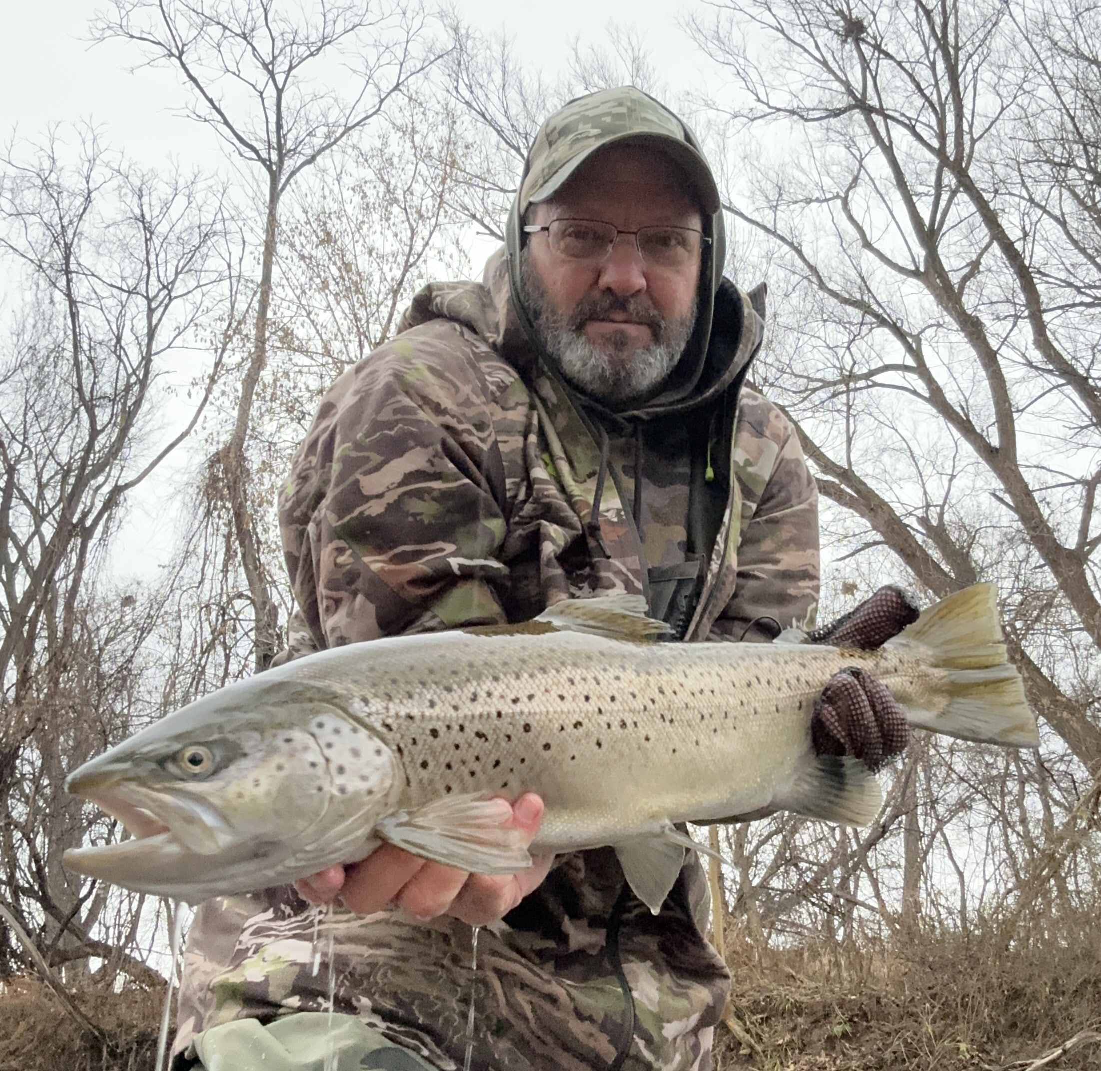 Drifting in the Stream: A Guide to Fly Fishing for Trout